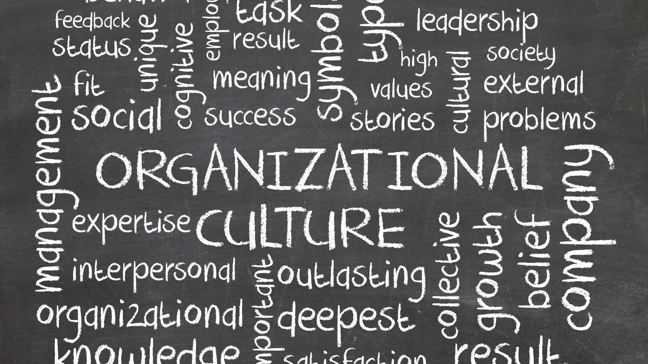 Os 8 tipos de cultura